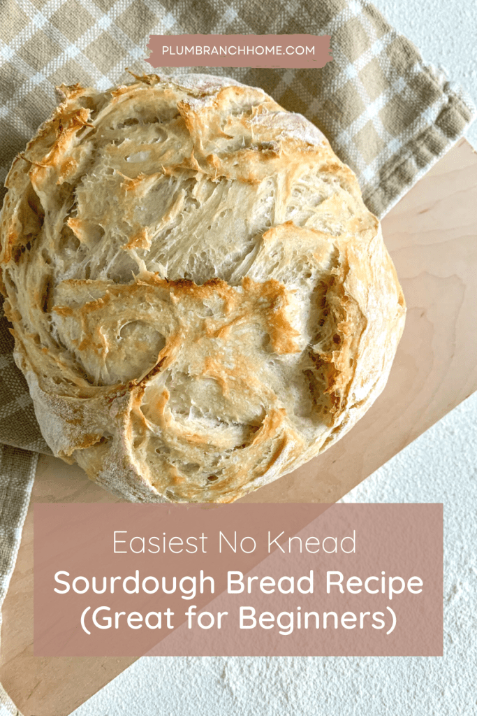 no knead sourdough bread

