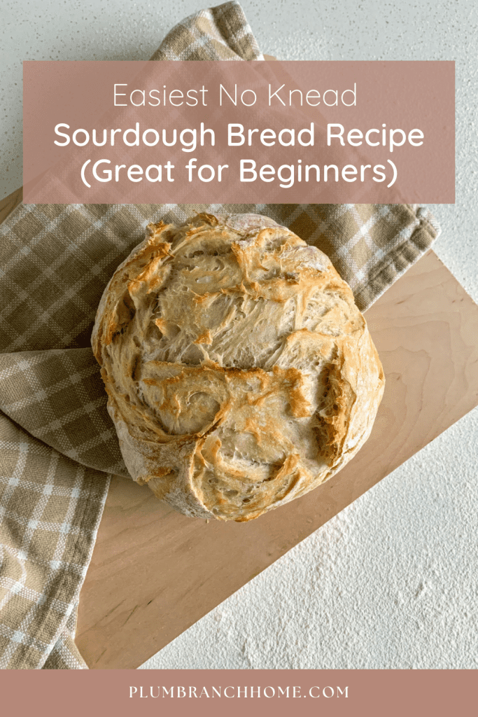 no knead sourdough bread

