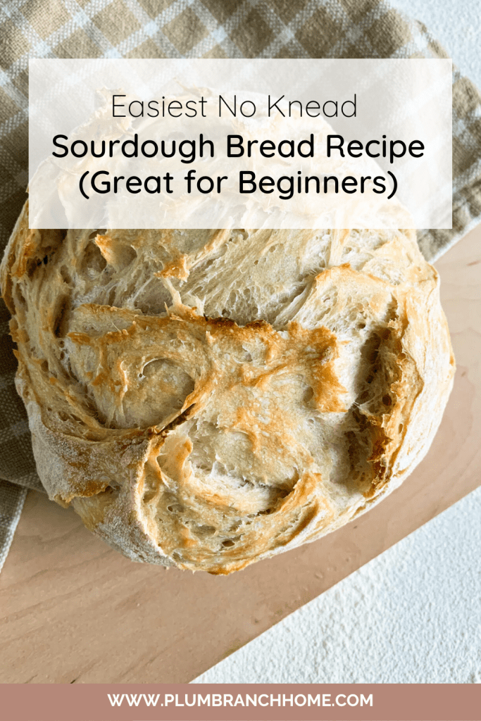 no knead sourdough bread

