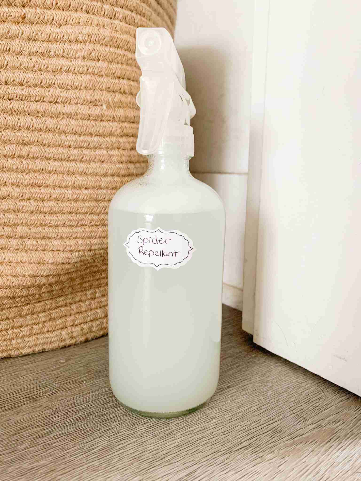 bottle of spray labeled for spiders