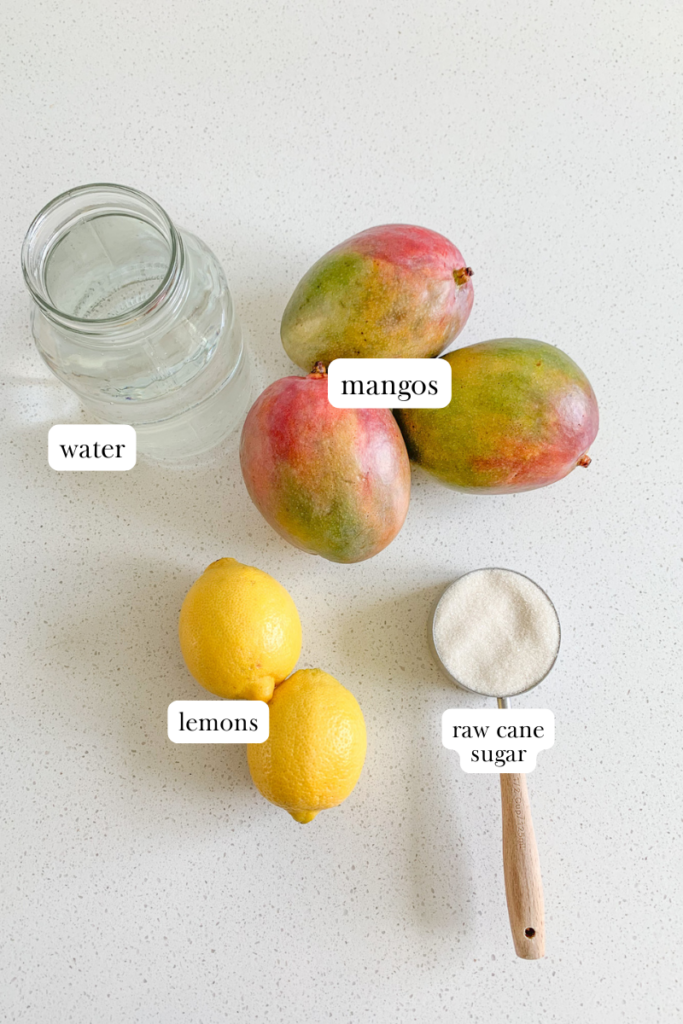 homemade mango lemonade labeled ingredients