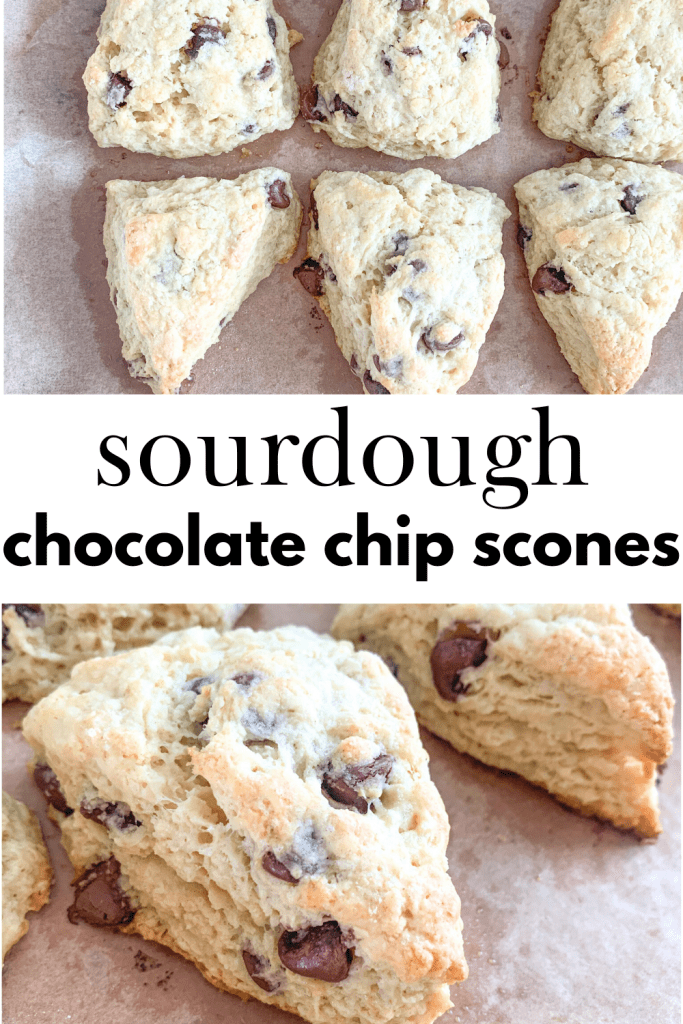 pinterest graphic for sourdough chocolate chip scones