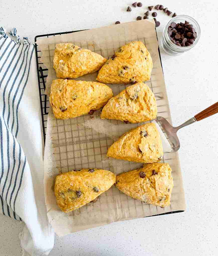 freshly baked sourdough pumpkin scones with chocolate chips