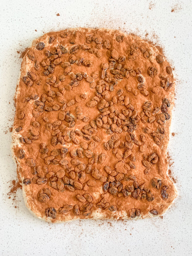 cinnamon and raisins on sourdough bread dough ready to be shaped
