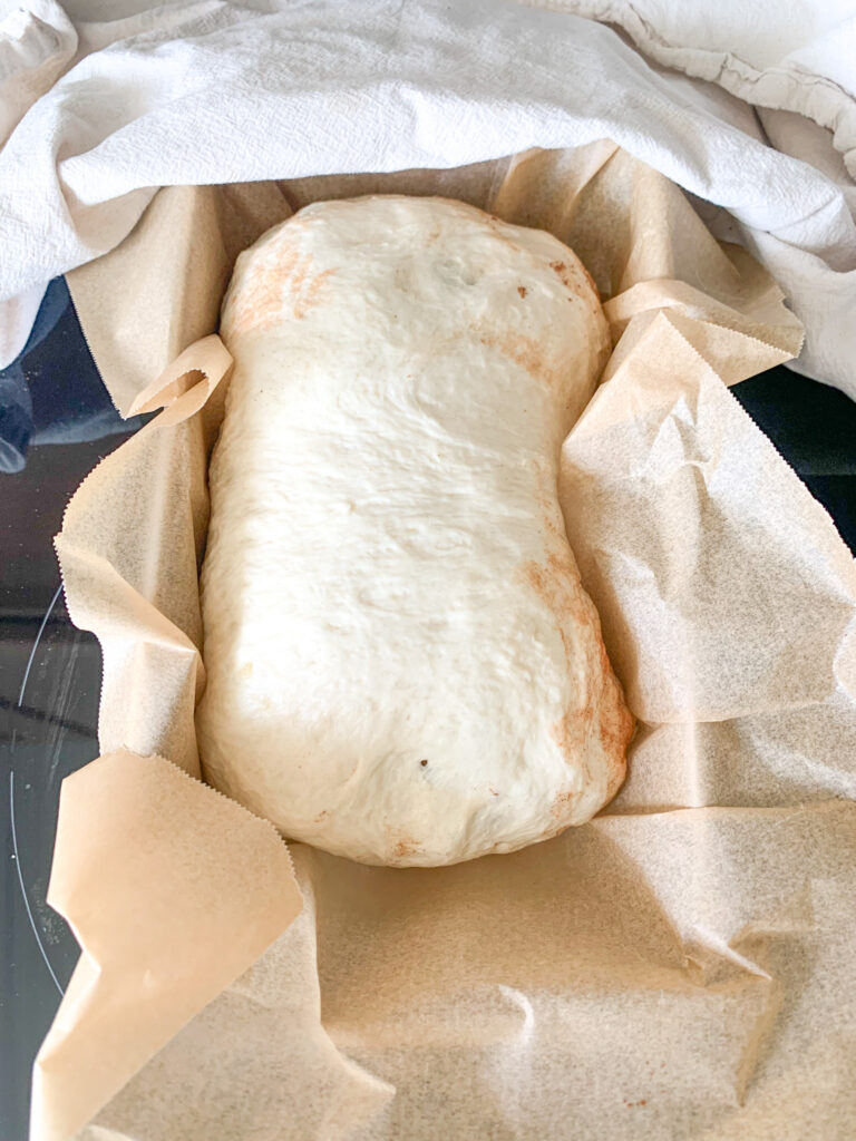 sourdough cinnamon raisin loaf ready for 2nd rise