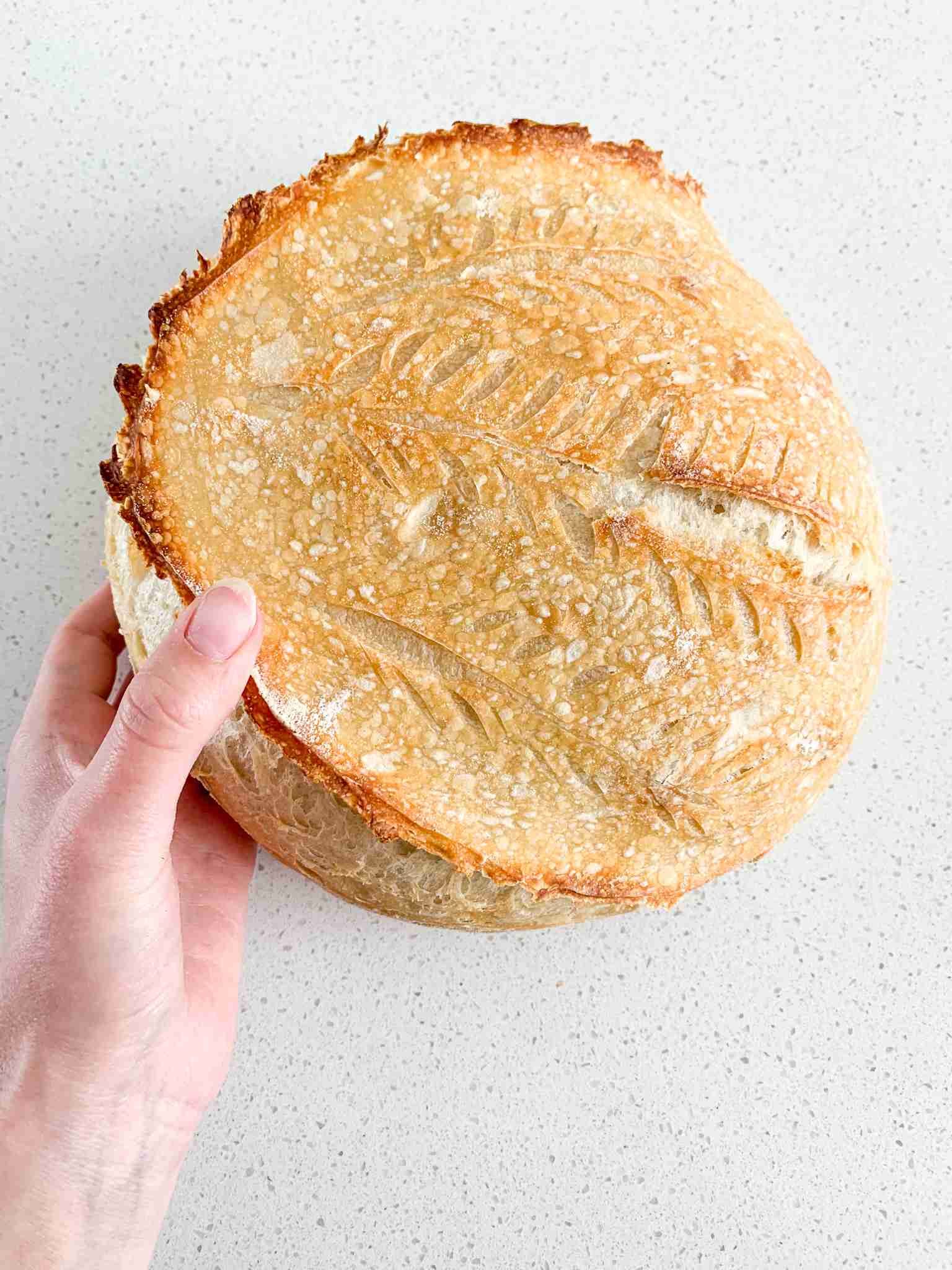 loaf of artisan bread