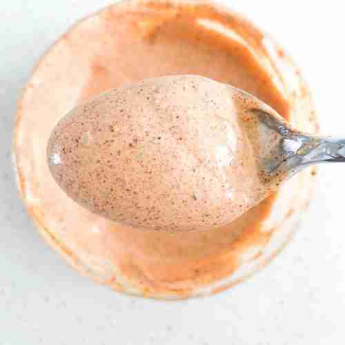 bowl of sauce with a spoon full of dip