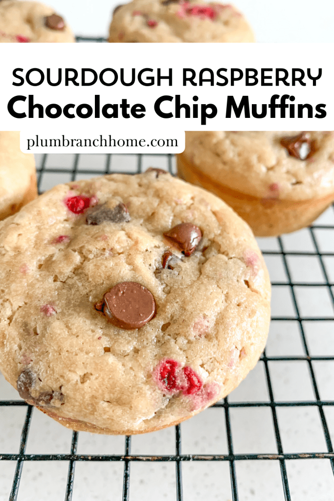 pinterest pin graphic for sourdough raspberry chocolate chip muffins