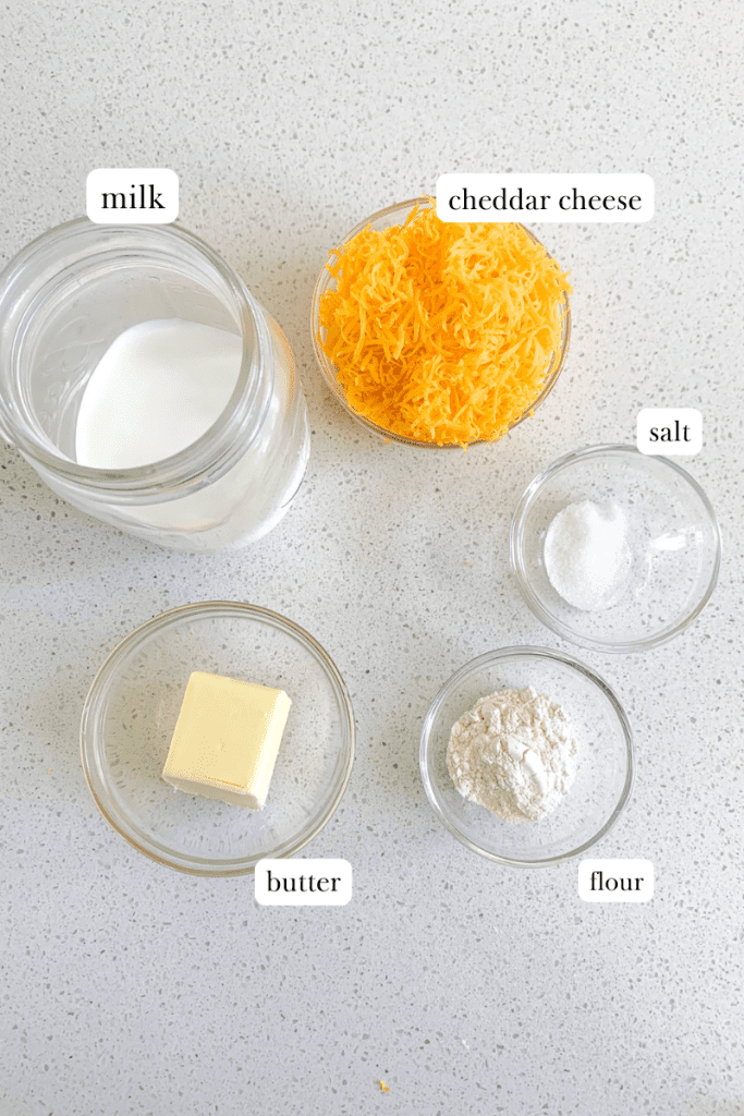 cheese sauce labeled ingredients