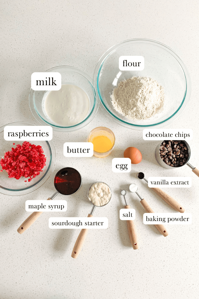 ingredients for sourdough raspberry muffins