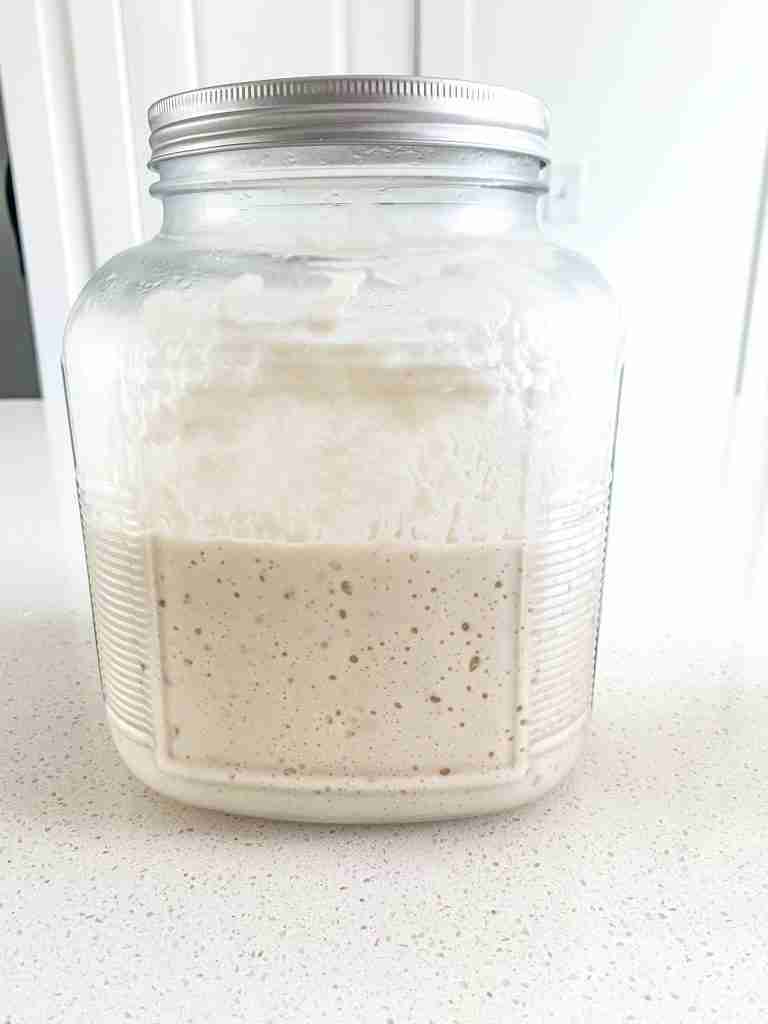 a large jar of starter on the counter