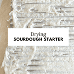starter drying on a rack covered in parchment