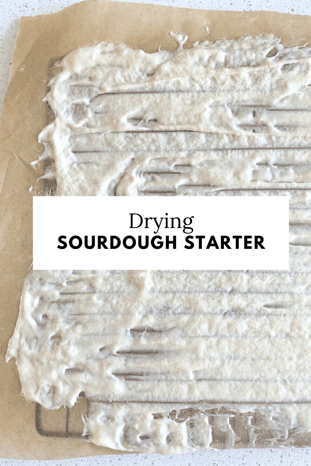 starter drying on a rack covered in parchment