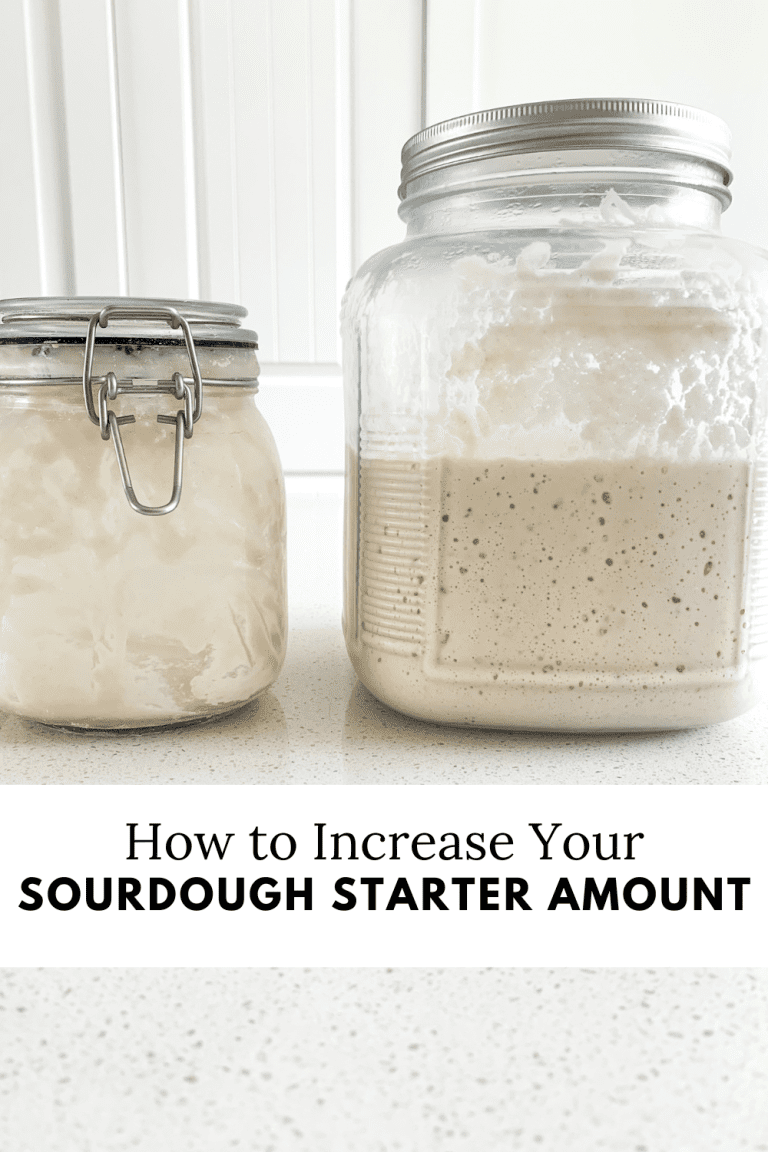 graphic with 2 starters sitting on the counter one small one large