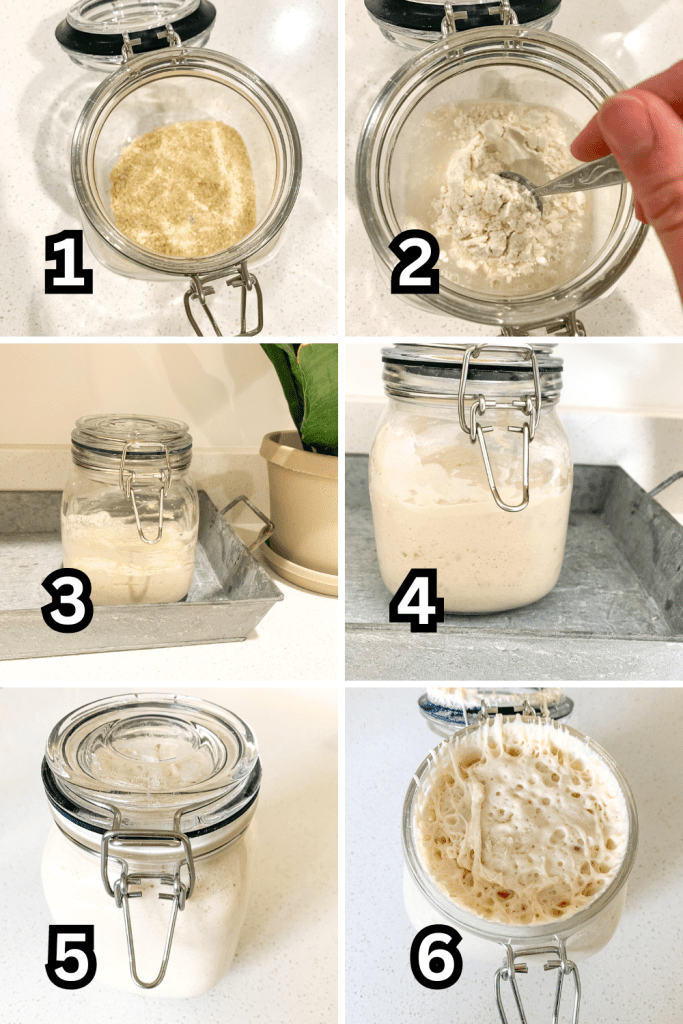 steps to rehydrate the starter