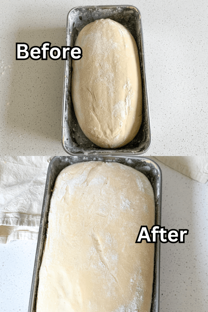 before and after photos of bread rising