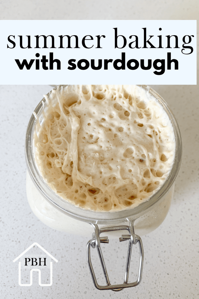 sourdough starter on a pinterest graphic
