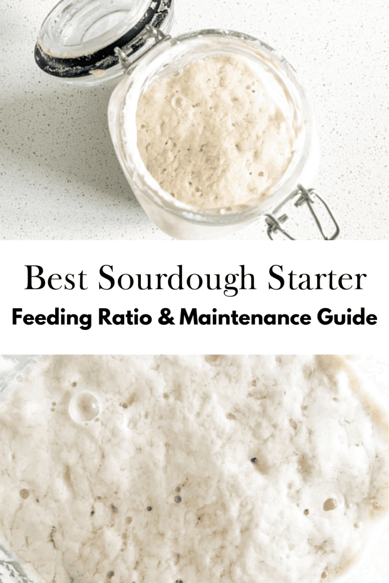 graphic with a sourdough starter jar on top and bubbly liquid on bottom