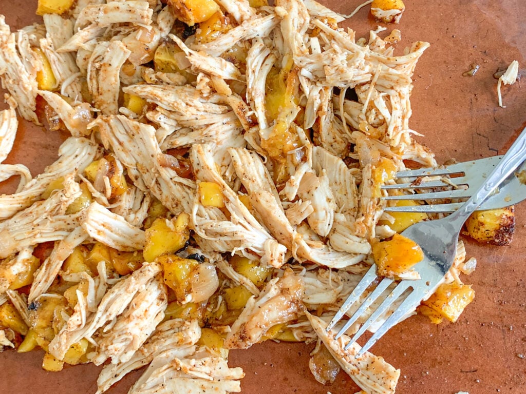 freshly baked mango chicken taco meat getting shredded