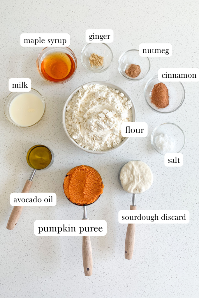 sourdough pumpkin bagels labeled ingredients