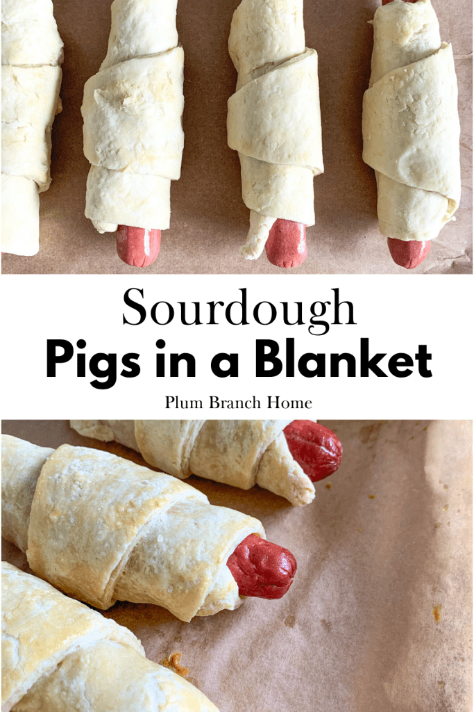 pinterest pin for sourdough pigs in a blanket