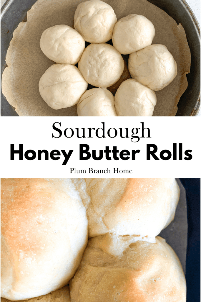 pinterest pin for freshly baked sourdough honey butter dinner rolls