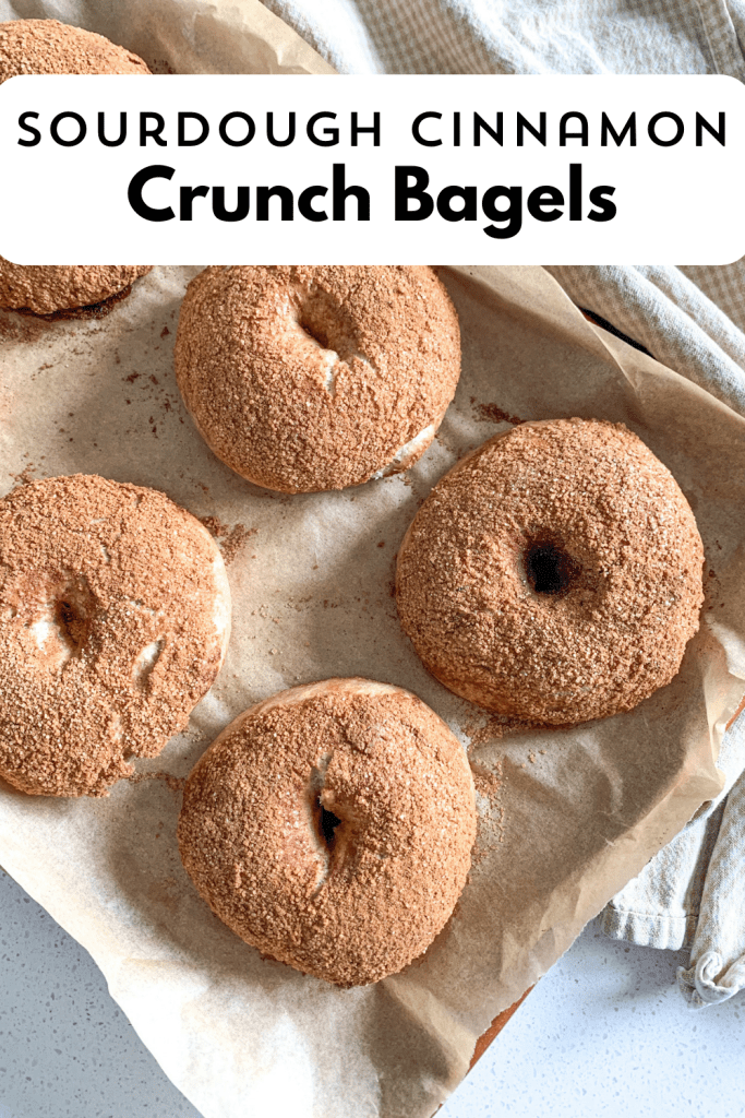 pinterest graphic for freshly baked sourdough cinnamon crunch bagels