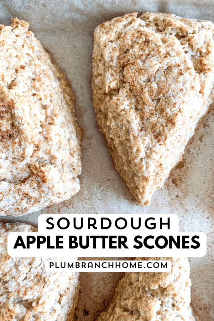 pinterest graphic for sourdough apple butter scones