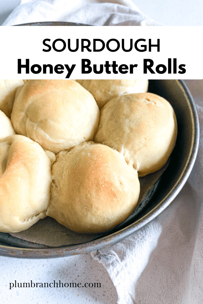 pinterest pin for freshly baked sourdough honey butter dinner rolls