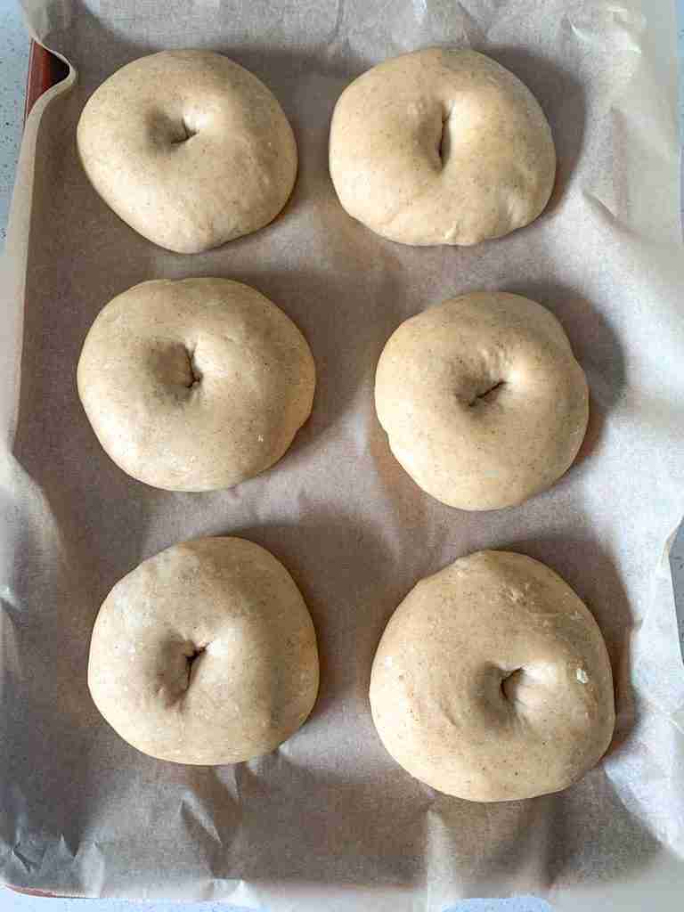 unbaked bagels just finished proofing
