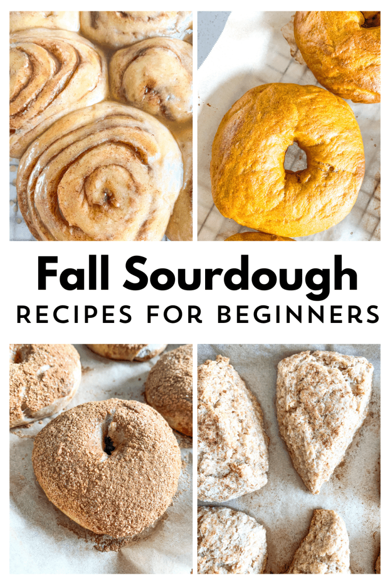 pinterest graphic of fall sourdough recipes