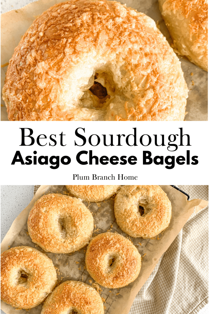 pinterest pin for sourdough asiago cheese bagels