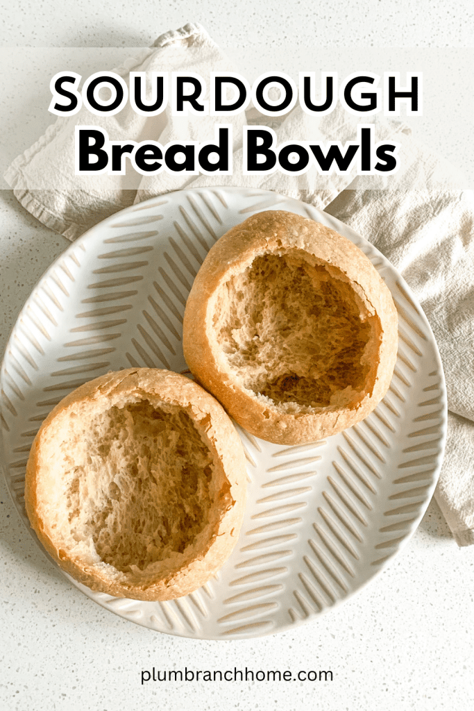 pinterest pin for sourdough bread bowl recipe