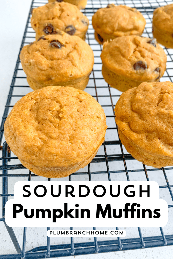 pinterest graphic for sourdough pumpkin muffins