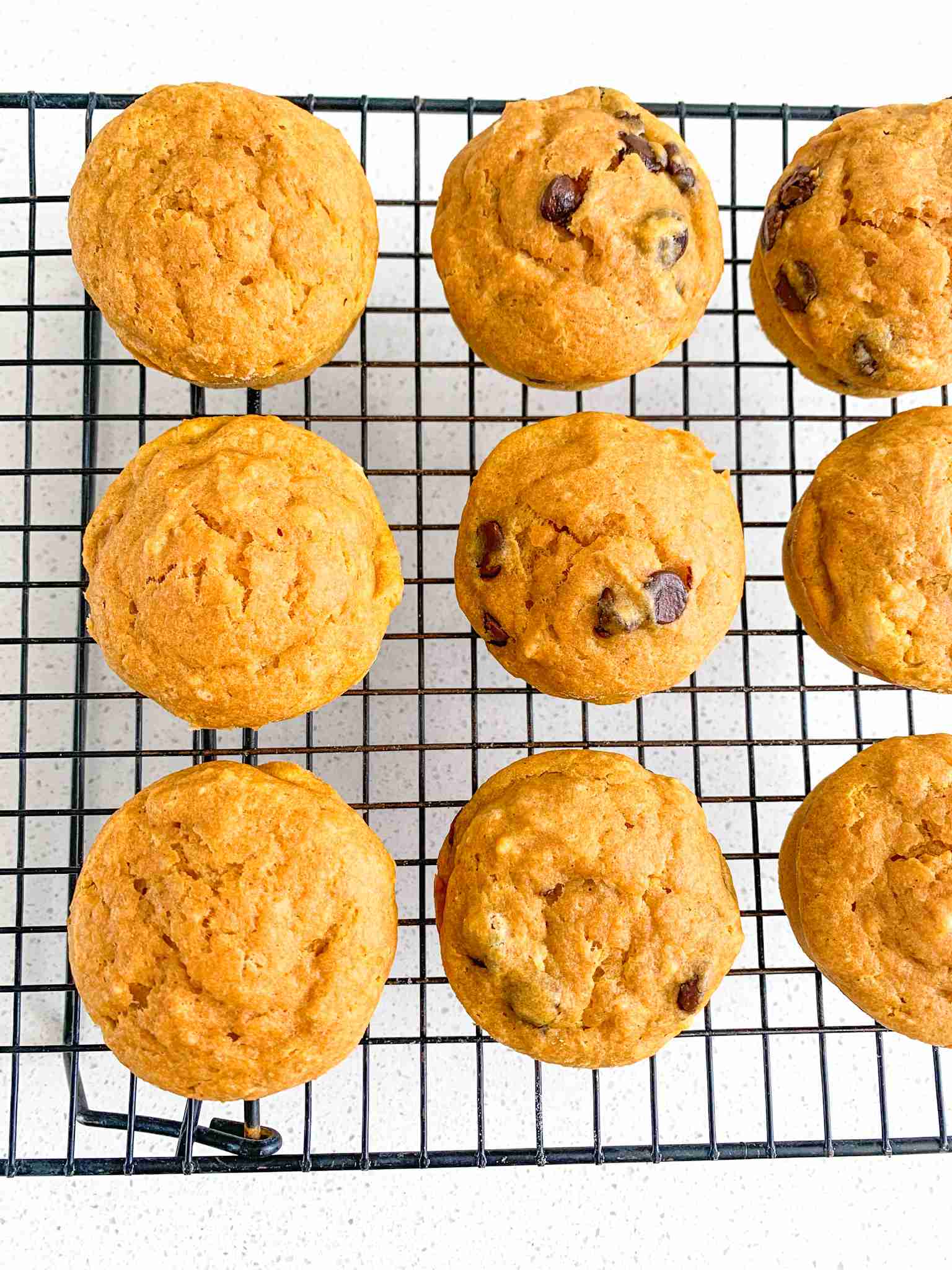 freshly baked sourdough pumpkin muffins