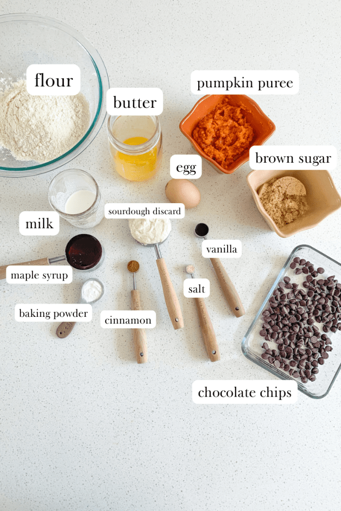 ingredients for sourdough pumpkin muffins