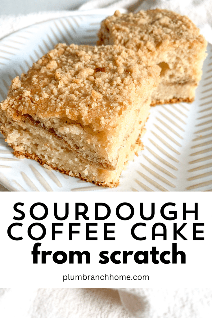 pinterest pin for sourdough coffee cake