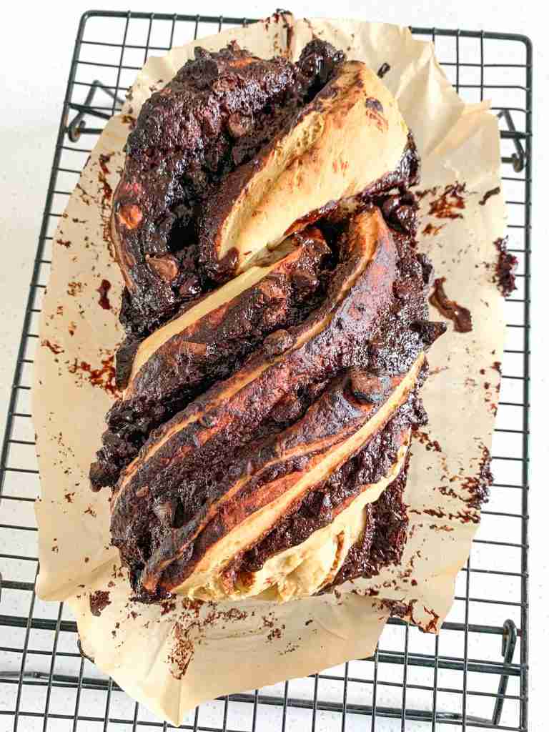 freshly baked sourdough chocolate babka