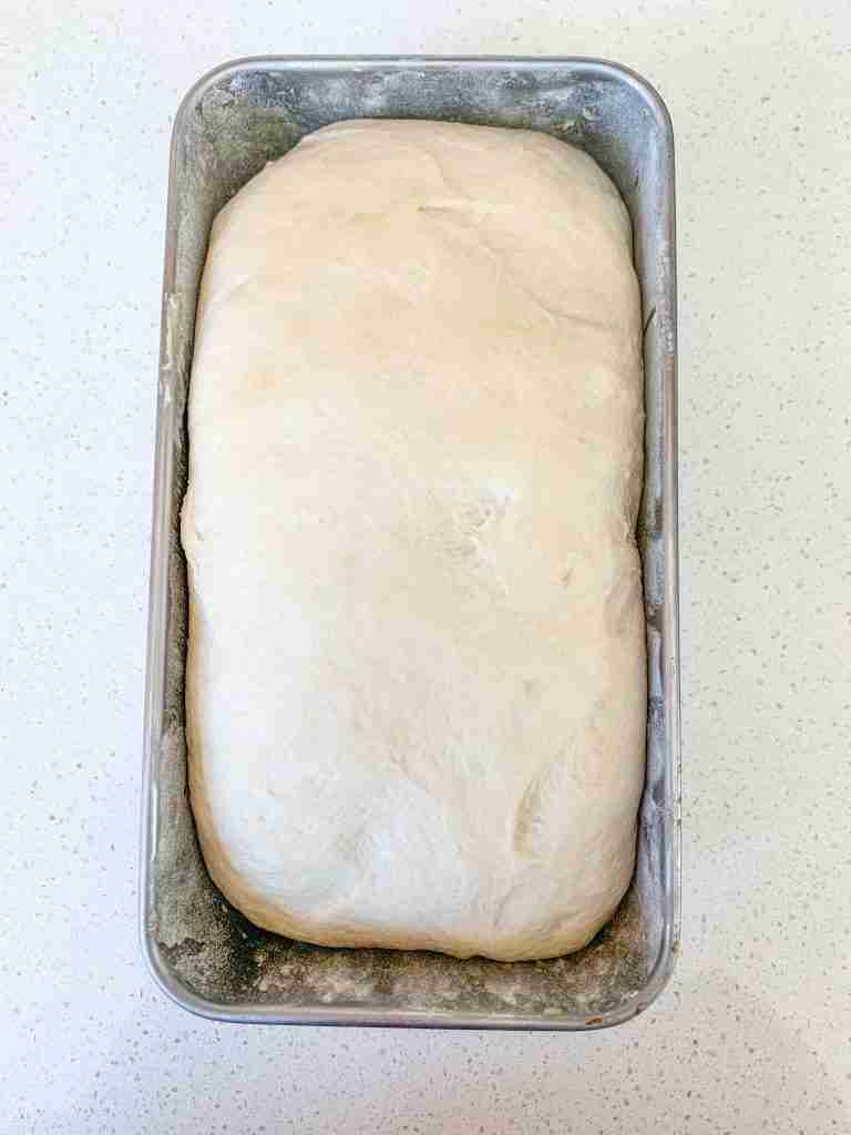 artisan sourdough loaf for beginners proofed and ready for baking