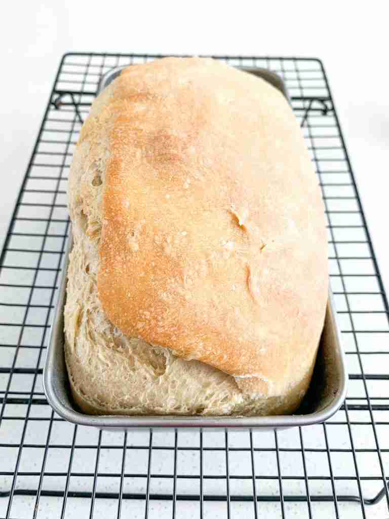 freshly baked sourdough loaf for beginners