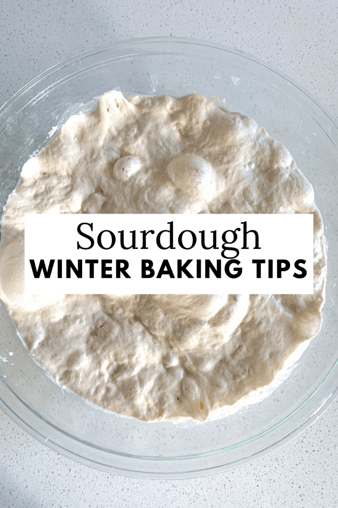 active and bubbly sourdough dough in a bowl