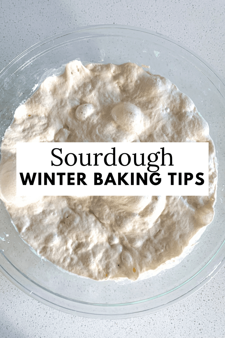 active and bubbly sourdough dough in a bowl