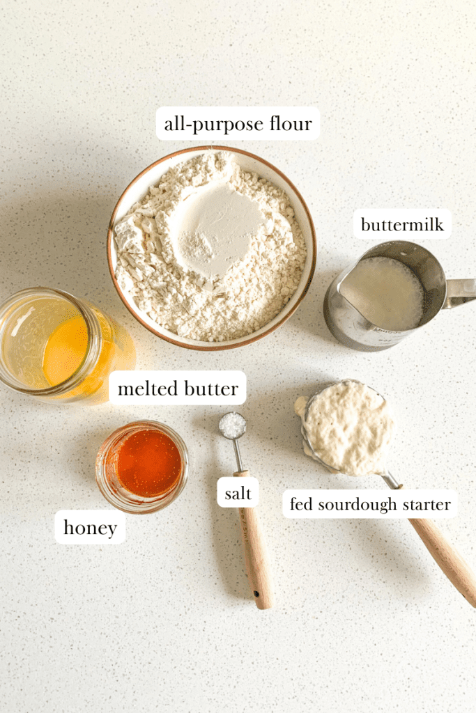 labeled ingredients for sourdough parker house rolls