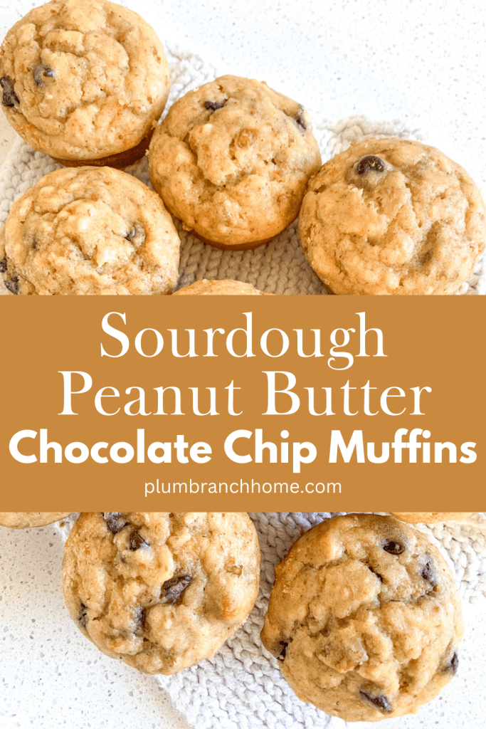 pinterest graphic for sourdough peanut butter chocolate chip muffins