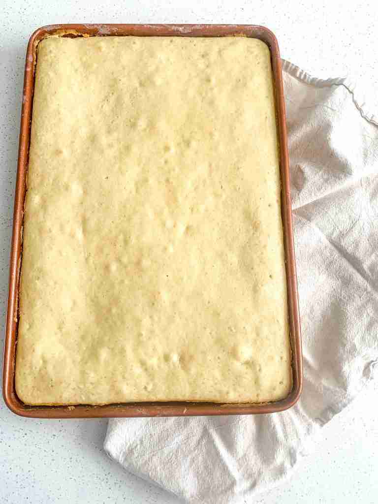 freshly baked sourdough vanilla cake