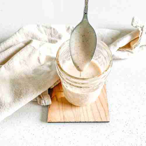 freshly made alabama white bbq sauce