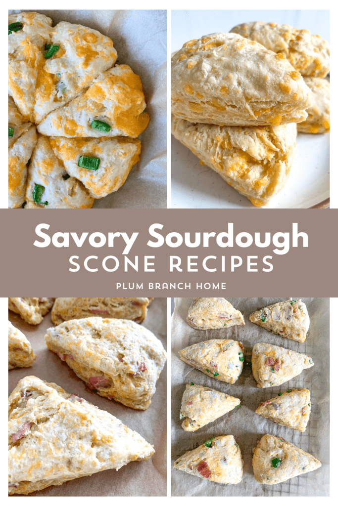 pinterest pin graphic for savory sourdough scones blog post