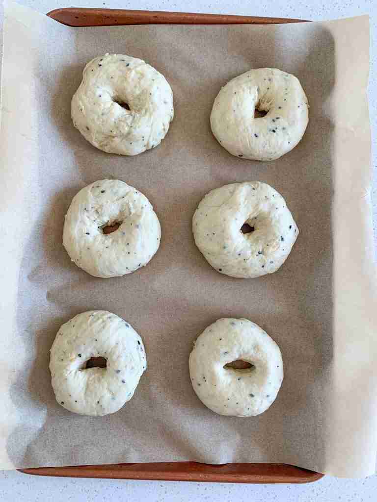shaped sourdough everything bagels