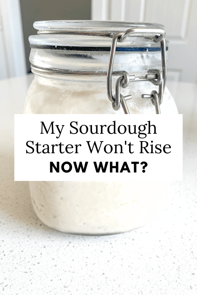 graphic for blog about my sourdough starter won't rise