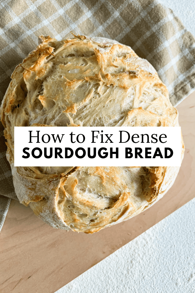 graphic for how to fix dense sourdough bread